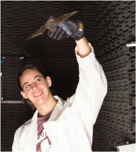 Alyson working with bat in lab flight tunnel