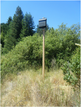 Bat house installed on a pole in a field